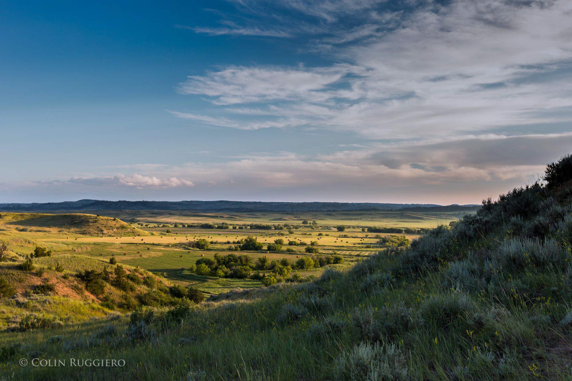 Gavel and papers reading